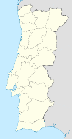 Каштелу-Бранку (Португалия)