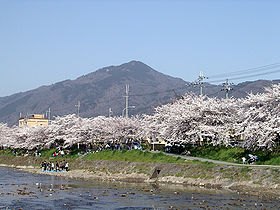 Сакура на фоне горы Хиэй. Вид из Киото